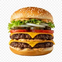 Burger Menüsü 1