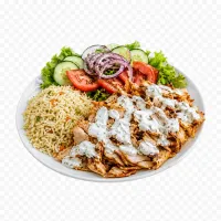 Döner Menüsü 1